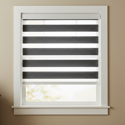 DL22030 Motorized Blinds With Cassette Zebra Blinds