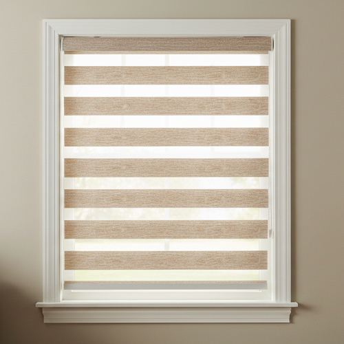 DL22030 Motorized Blinds With Cassette Zebra Blinds